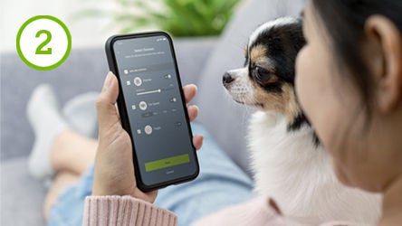 Utilice la aplicación My Leviton para configurar programas y controles